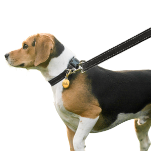 Soft Cotton Reflective Dog Leash Soft Cotton Reflective Dog Leash