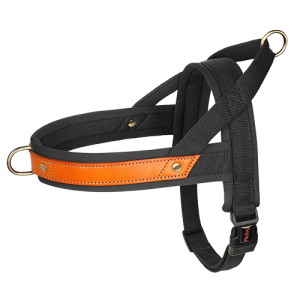 Padded Dog Harness - No Pull