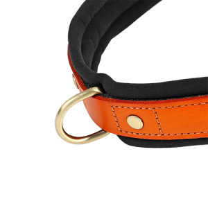 Padded Dog Harness - No Pull Padded Dog Harness - No Pull