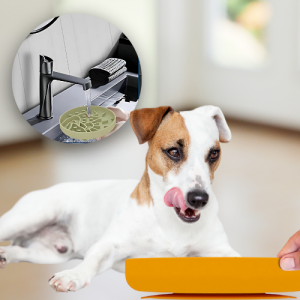 Silicone Slow Feeder Dog Bowl - Perfect for Treats & Meals Dog licking a yellow silicone slow feeder bowl, with a close-up showing easy rinsing under tap water.