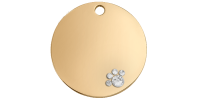 Luxury Gold Stainless Steel Round Dog Tag