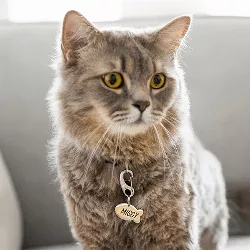 Fish shape Silver Tag