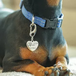 Heart Silver Dog Tag
